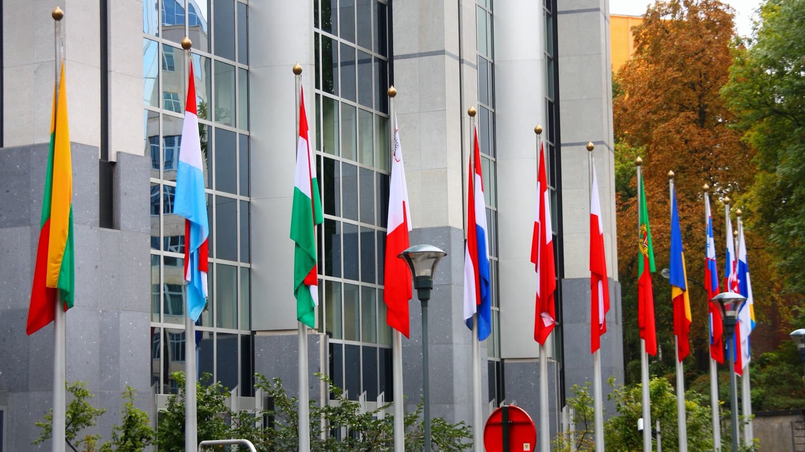 Tenders nobody competed for: almost 1 in 3 EU public contracts gets a single bid — report cover